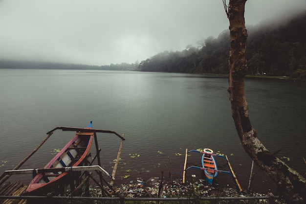 Canoas em um lago