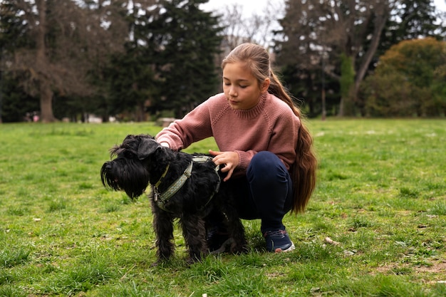 Cão adorável no parque na natureza com o proprietário