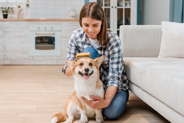 Cão adorável sendo escovado por mulher