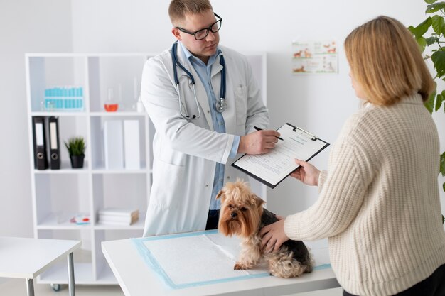 Cão bonito durante uma consulta