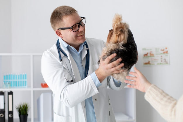 Cão bonito durante uma consulta