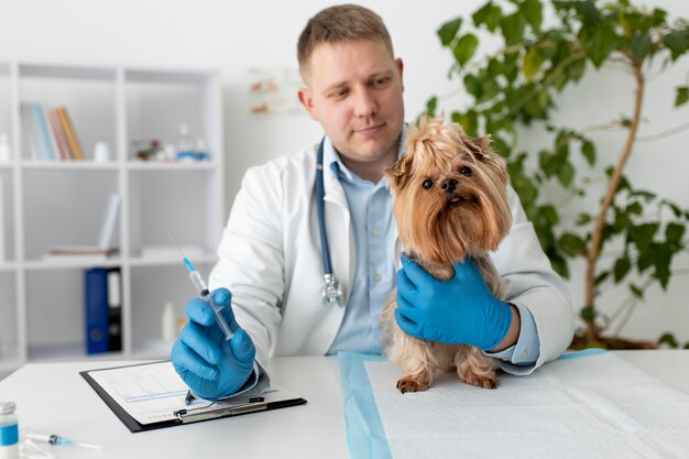 Cão bonito durante uma consulta