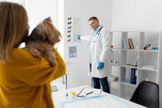 Cão bonito durante uma consulta