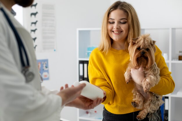 Cão bonito durante uma consulta