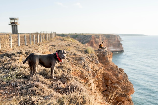 Cão com vista lateral passeando ao lado do dono em um litoral