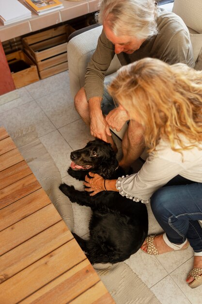 Cão de estimação idoso de alto ângulo