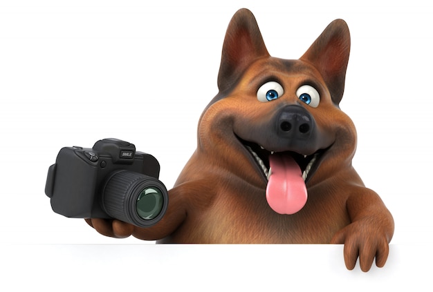Cão de pastor alemão divertido com câmera
