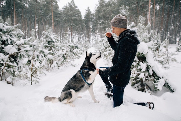 Cão de treinamento. homem treinar cão husky na floresta de inverno nevado em dia frio de inverno