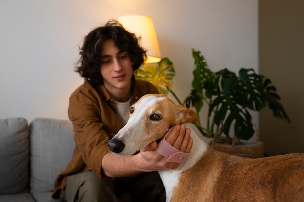 Cão galgo com dono masculino em casa no sofá