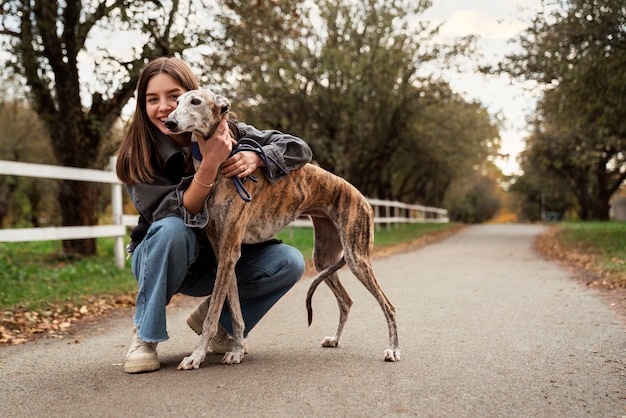 Cão galgo curtindo sua caminhada