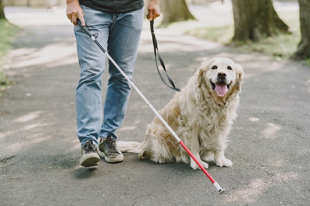 Foto grátis cão-guia ajudando cegos na cidade. bonitão cego descanse com o golden retriever na cidade.