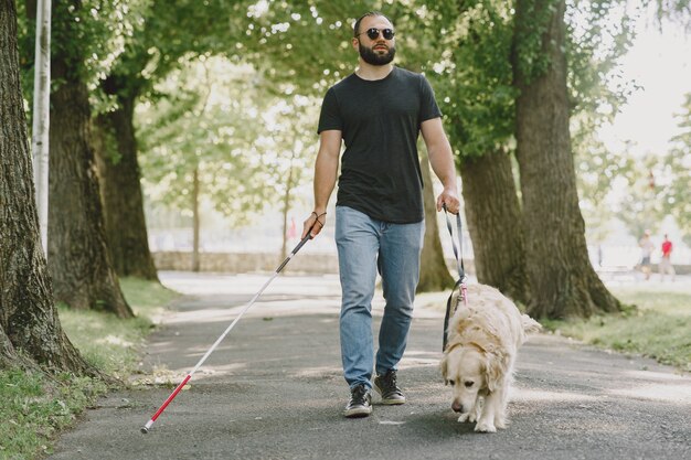 Cão-guia ajudando cegos na cidade. Bonitão cego descanse com o golden retriever na cidade.