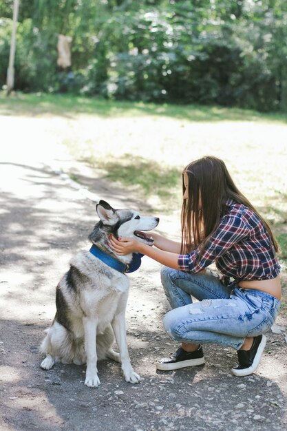 Cão preto jovem fêmea azul