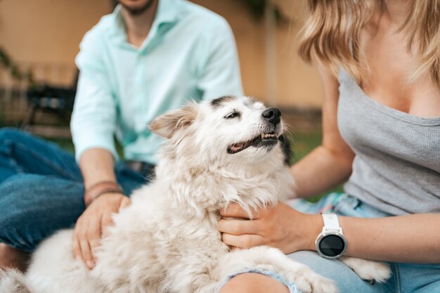 Cão velho alegre sorrindo enquanto está sentado no colo de seus humanos amorosos. Casal feliz brincando com seu cachorro.