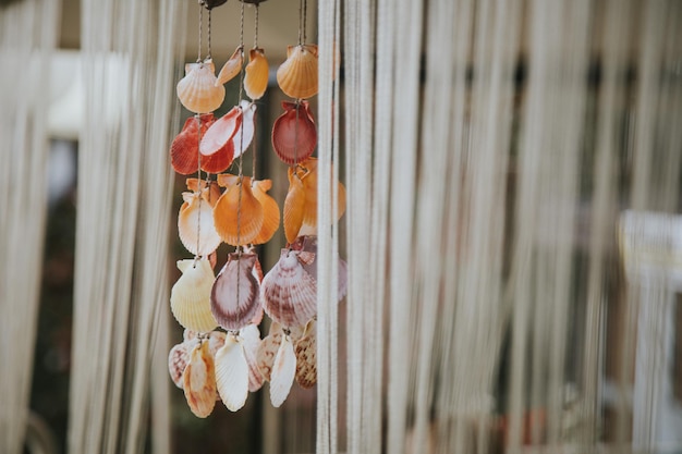 Captura de uma bela lembrança feita de conchas coloridas penduradas no teto