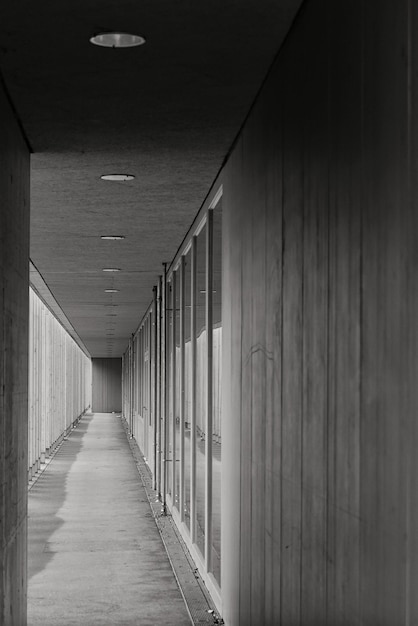 Captura vertical em tons de cinza de um longo corredor dentro de um prédio com portas de vidro transparente