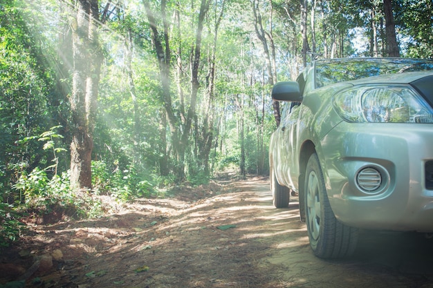 Carro, com, estrada sujeira, rally, e, natureza, fundo