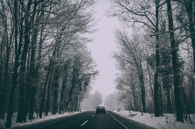 Carro na estrada em um parque de inverno