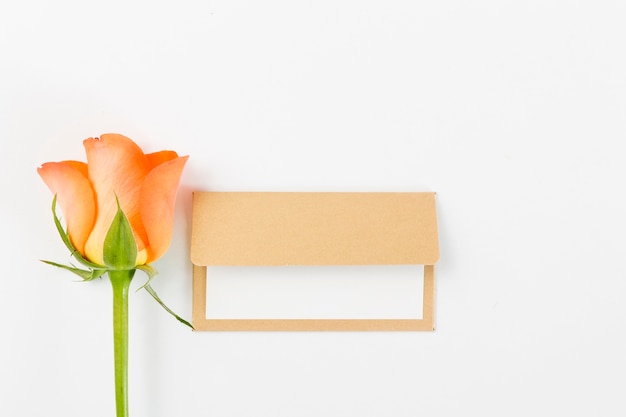 Cartão em branco com flores da primavera