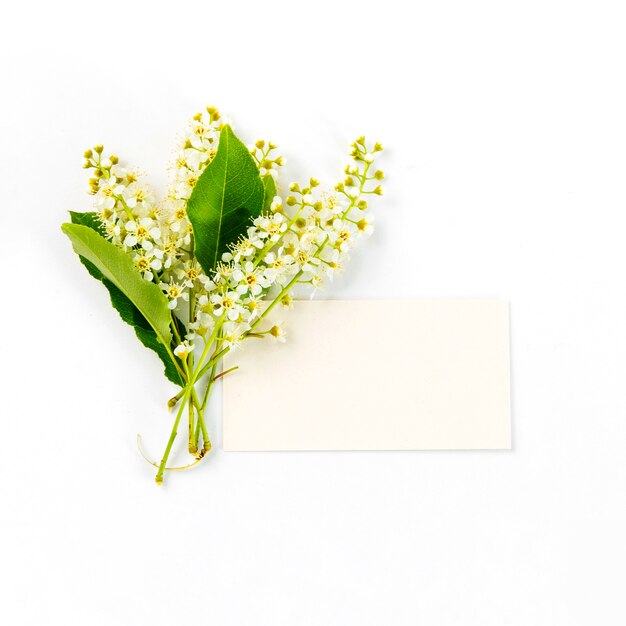 Cartão em branco com flores da primavera