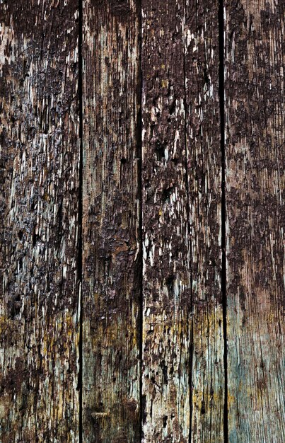 Cartazes horizontais de madeira rústicos
