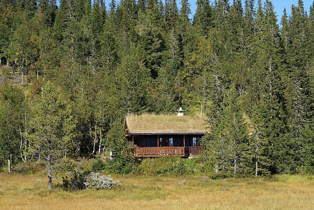 Casa de campo rural norueguesa típica com paisagem deslumbrante e bela vegetação na Noruega