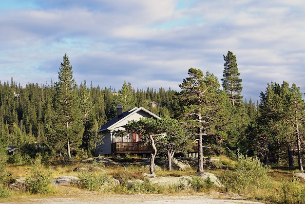 Casa de campo rural norueguesa típica com paisagem deslumbrante e bela vegetação na Noruega