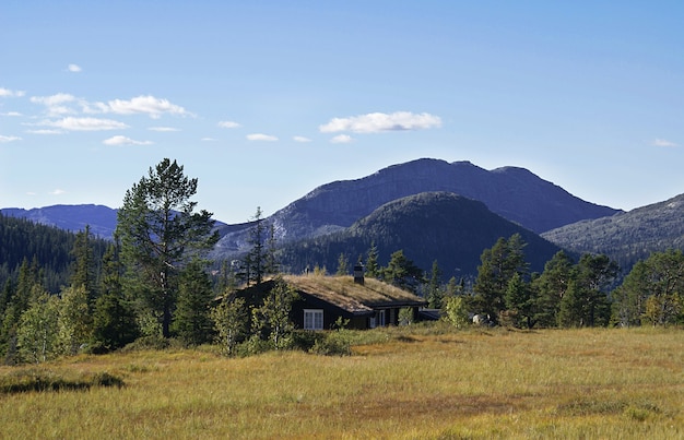 Casa de campo rural norueguesa típica com paisagem deslumbrante e bela vegetação na Noruega