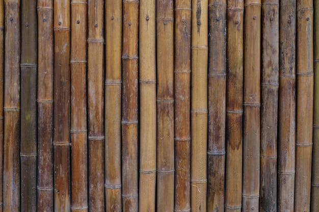 Casa de parede de bambu