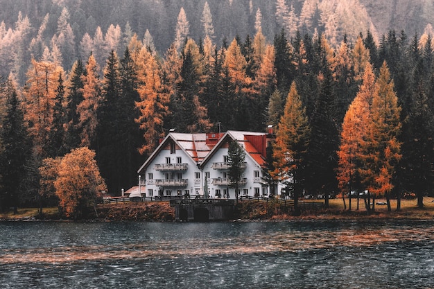 Casa perto de corpo de água e floresta