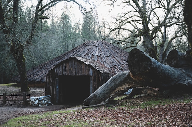 Casa redonda cerimonial de nativos americanos da califórnia com uma grande árvore derrubada ao lado