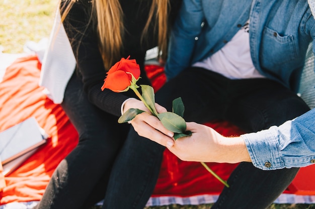 Casal amoroso com rosa vermelha apaixonado