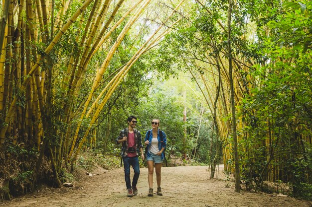 Casal caminhando pela floresta de bambu