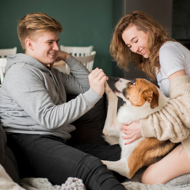 Casal de alto ângulo, brincando com cachorro