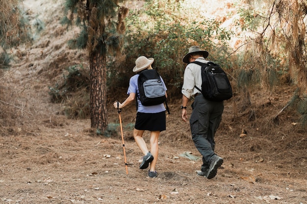 Casal de idosos ativos em um encontro na floresta