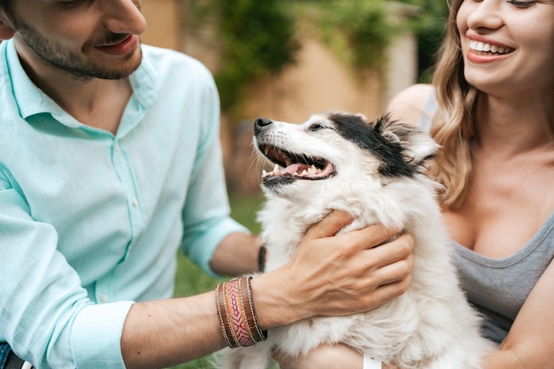 Casal feliz brincando com seu cachorro no quintal na grama. Cachorro velho alegre