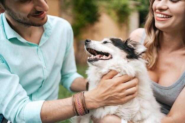 Casal feliz brincando com seu cachorro no quintal na grama. Cachorro velho alegre