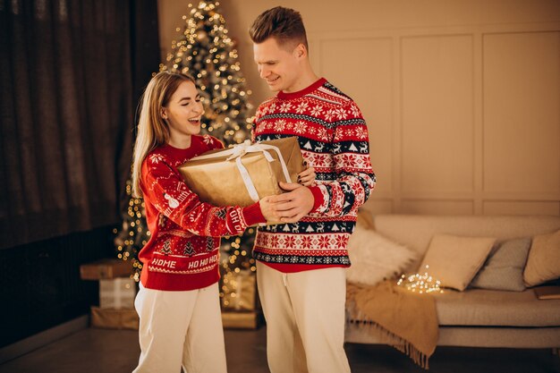 Casal junto com presentes de natal perto da árvore de natal