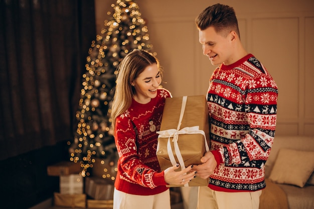 Casal junto com presentes de natal perto da árvore de natal