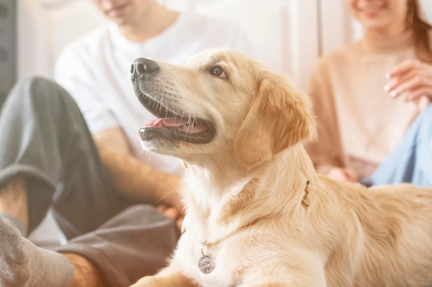 Casal próximo com cachorro dentro de casa