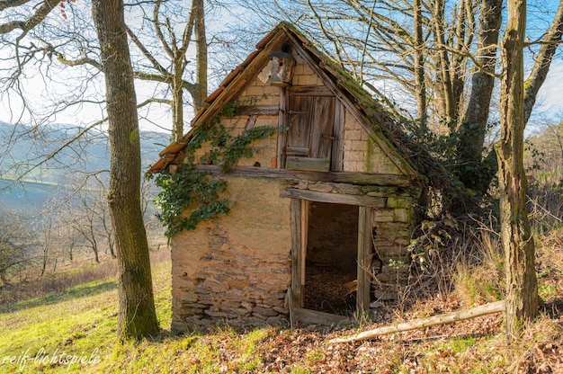 Casinha abandonada na colina rodeada de árvores