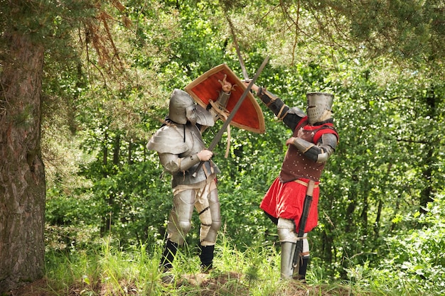 Foto grátis cavaleiros de combate