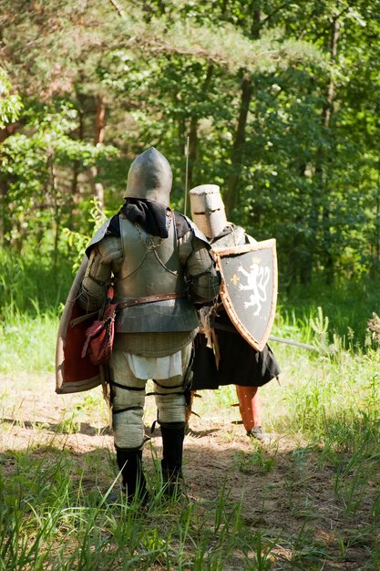 cavaleiros em armadura estão lutando na floresta