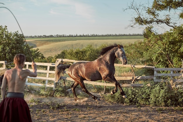 Cavalo correndo no piquete na areia no verão. animais no rancho.