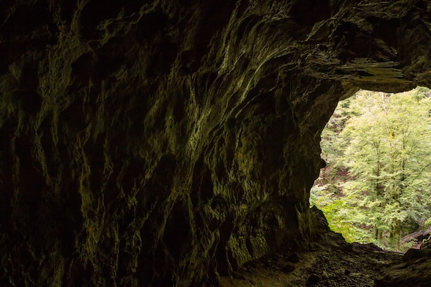 Foto grátis caverna muzeva hizica por dentro com vista para uma floresta em skrad na croácia