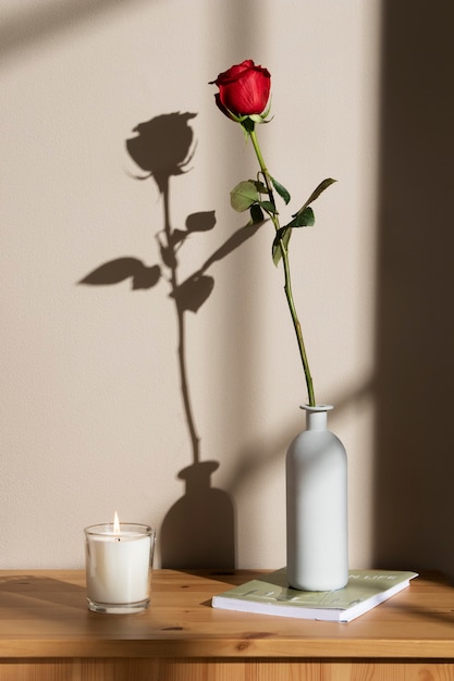 Foto grátis celebração de sant jordi com rosa e livro