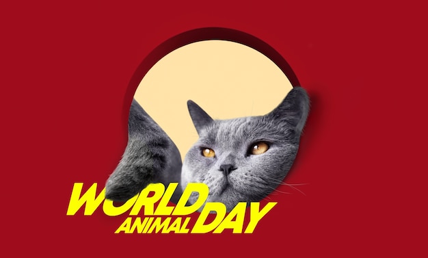 Celebração do dia mundial do animal com gato fofo