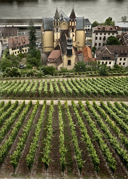 Cena de outono perto da cidade bávara de wurzburg, alemanha