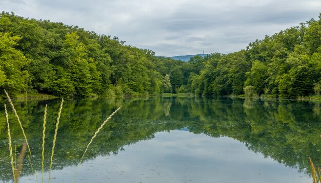 Cena de tirar o fôlego com bela natureza e seu reflexo na água no Parque Maksimir em Zagreb