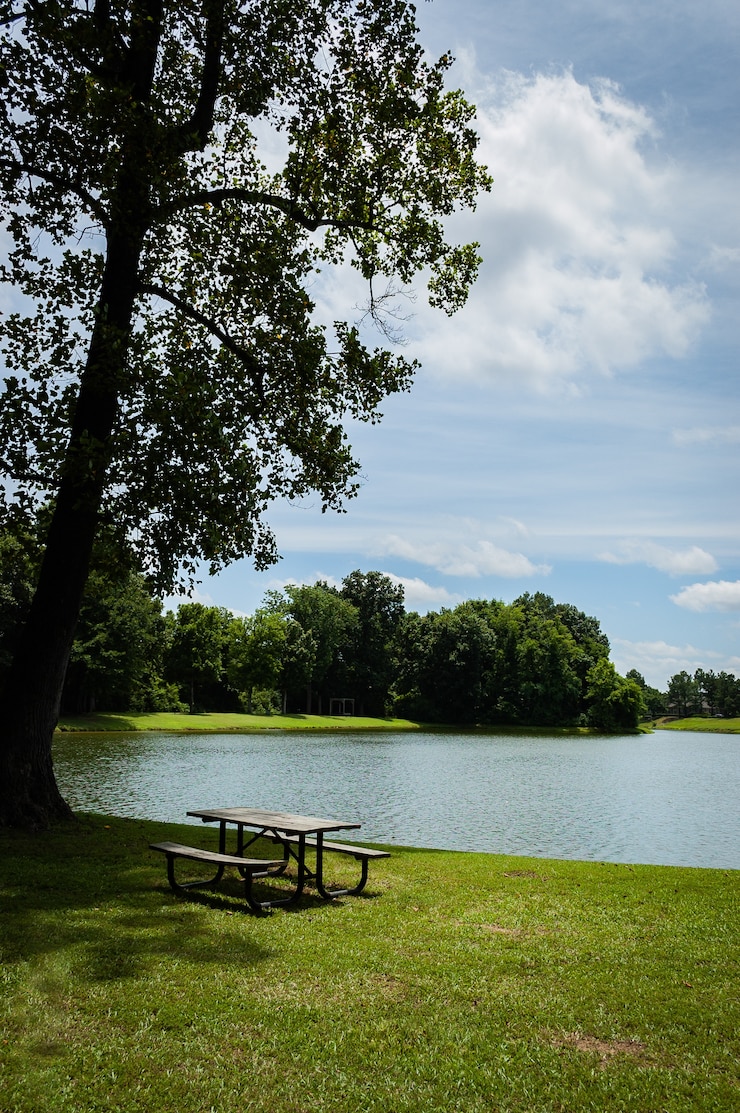 Foto grátis cenário agradável do parque com raios de sol brilhando no lago